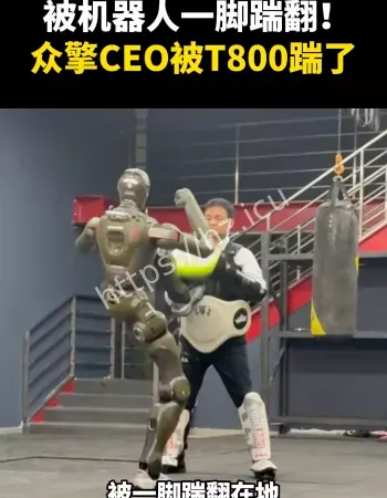 人形机器人