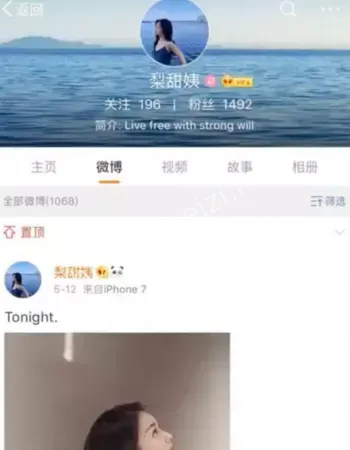 梨甜姨