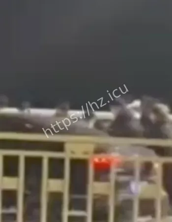 王滨干儿子