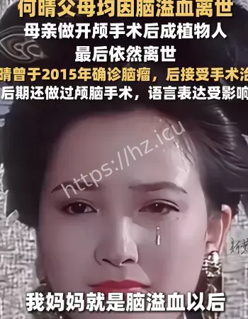 何晴父母离世