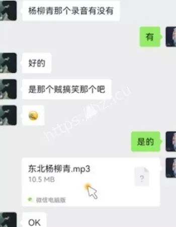 意外流出