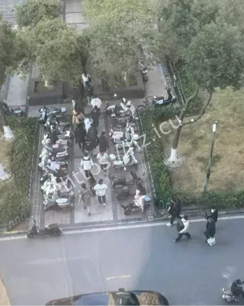 光谷法咨公司