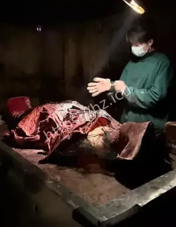 解剖室传闻