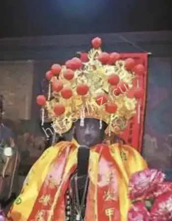 真相曝光