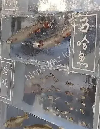 成冰琥珀