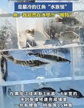 打造冬日奇观