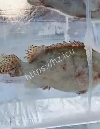 打造冬日奇观