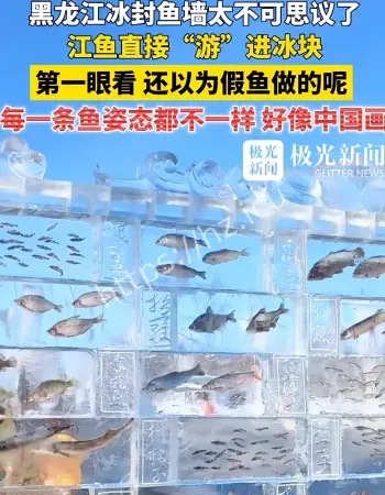 黑龙江三江口