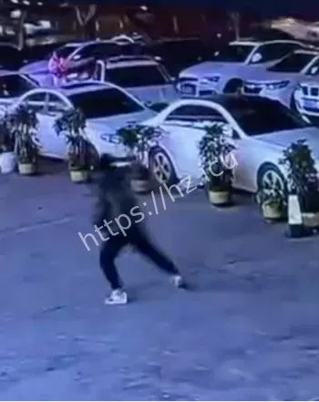 醉驾毁车赔惨