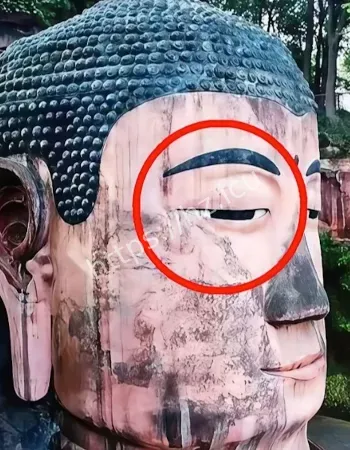 749局密档曝光