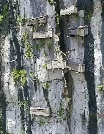 巴人消失无踪