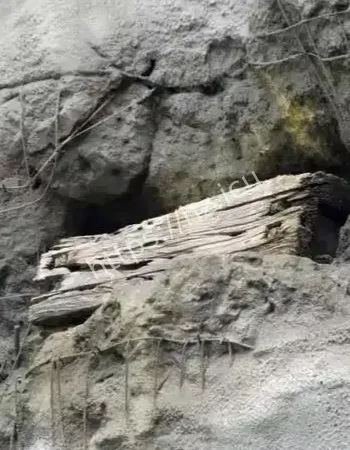 三峡巴人悬棺