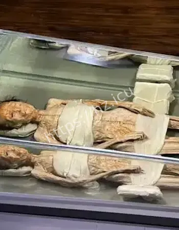 巴人消失无踪