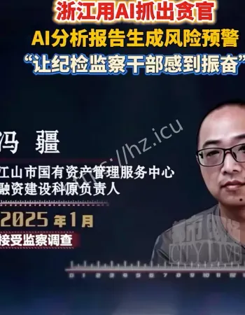 浙江AI抓贪官
