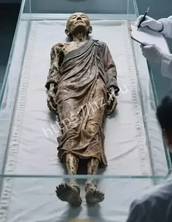 皮肤有弹性