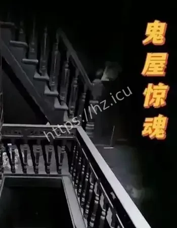真相曝光