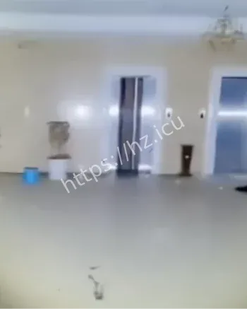 神秘视频流出