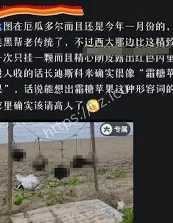 糖霜苹果