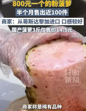 800一颗粉菠萝