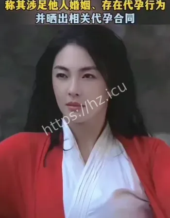代孕婚内出轨