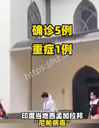 印度尼帕病毒