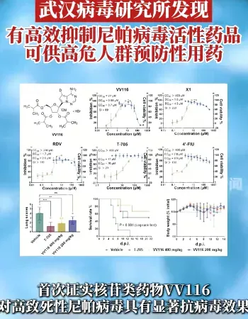 尼帕有效药物