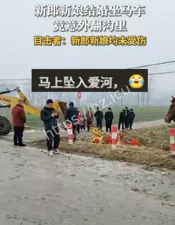 意外翻进沟里