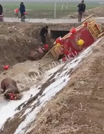 河南周口