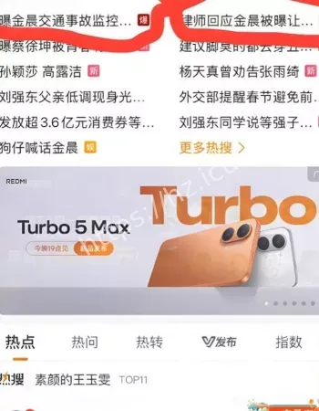 金晨肇事逃逸