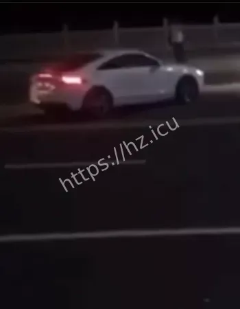 保时捷车主