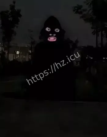 楼梯断肢