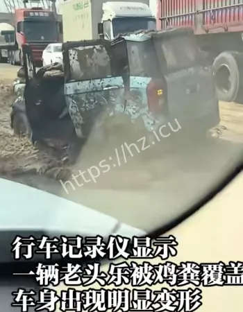 不遵守交通规则