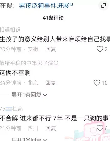 将狗棚点燃