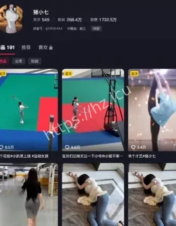 猪小七