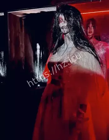闹鬼真相