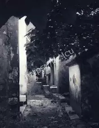 1998年红柱村