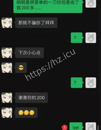 佳佳拖把