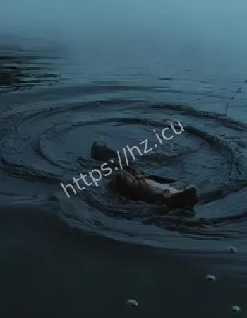 溺水事故频出