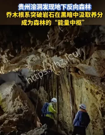 贵州溶洞