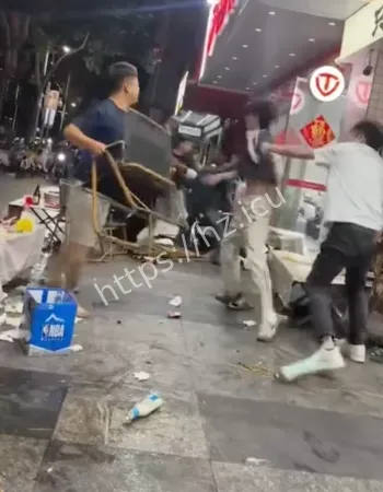 稳如老狗
