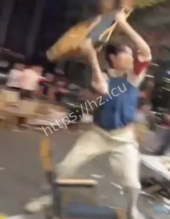 稳如老狗