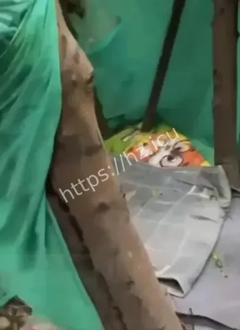 地上小雨伞成堆