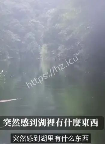 秘密曝光
