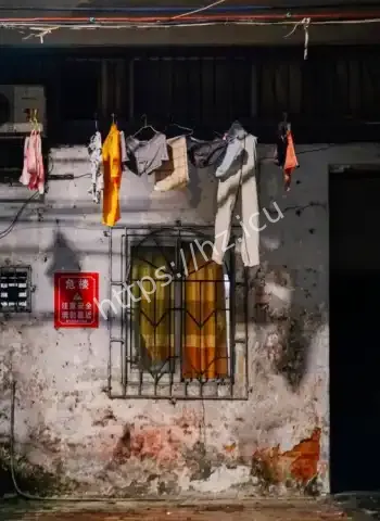 广东湛江农庄