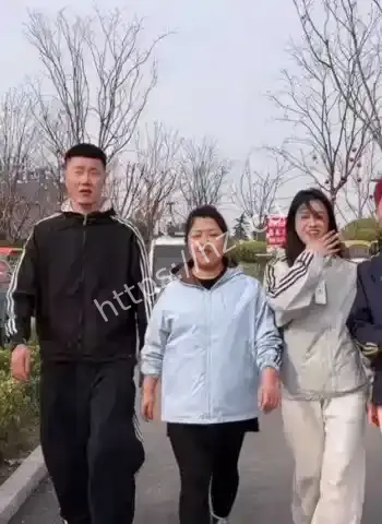 吴迪