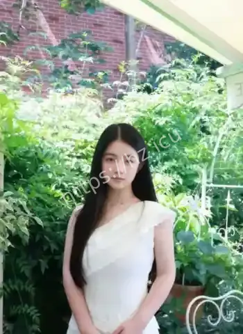 杨小叶