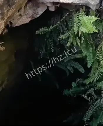 老井内金币诡闻