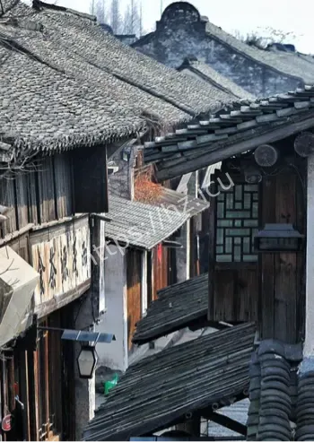 老井内金币诡闻