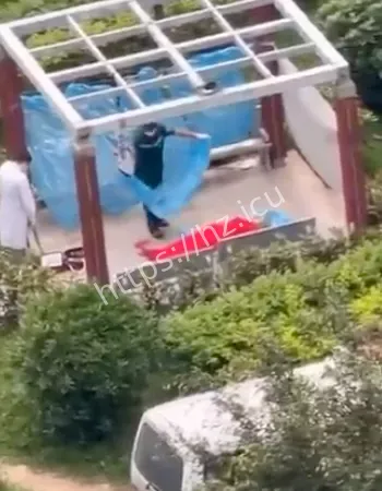 现场视频流出
