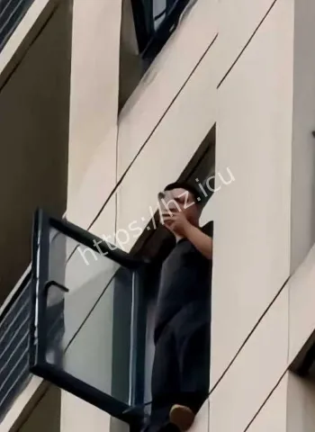 猪猪